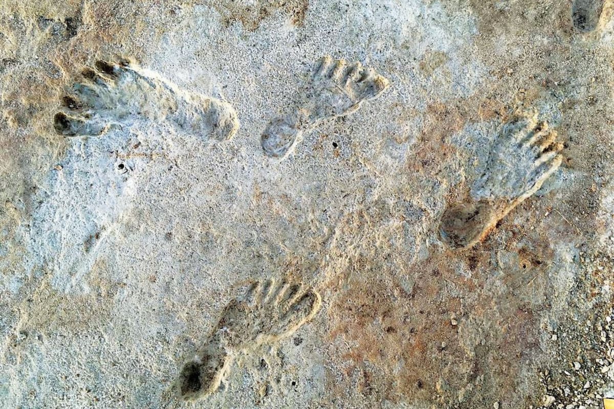 Las huellas de fosilizadas en perfecto estado datan de hace 23.000 años