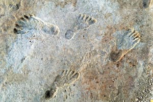 Las huellas de fosilizadas en perfecto estado datan de hace 23.000 años