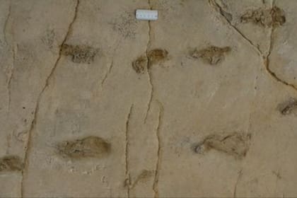 Las huellas de Trachilos desafían la línea de tiempo aceptada para los orígenes de la humanidad