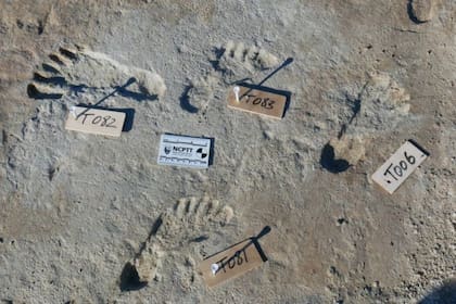 Las huellas pertenecen a niños y adolescentes que vivieron hace al menos 21.000 años