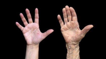 Las huellas se van desgastando con la edad, entre otros factores.