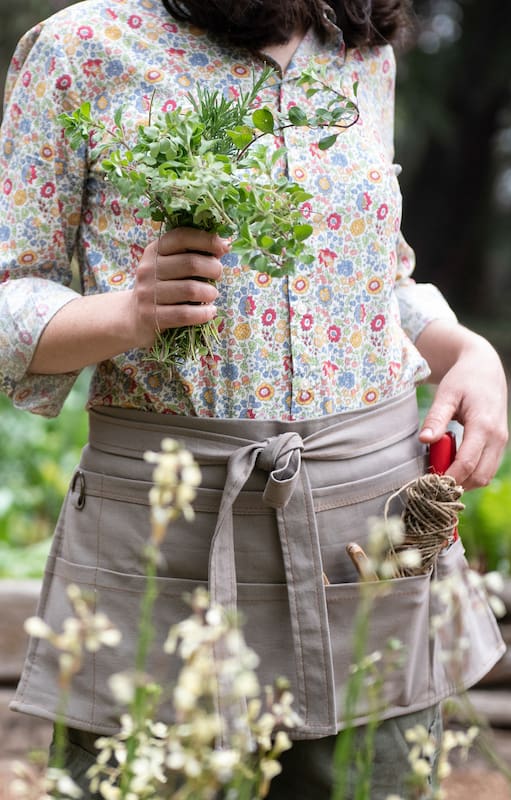 Las huerta aromáticas sirven para muchos propósitos como el uso culinario, medicinal, aroma terapia, control de plagas y el propósito estético.