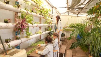 Las huertas escolares forman parte de un modelo que comenzó con un pequeño espacio de cultivo y hoy involucra a toda la comunidad educativa