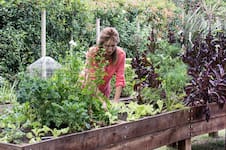 Huerta urbana: un experto brinda claves para realizarla en todo tipo de espacios