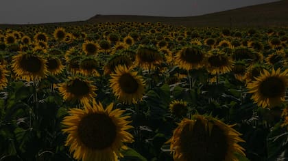 Las imágenes de la NASA del eclipse solar de este 12 de agosto del 2026