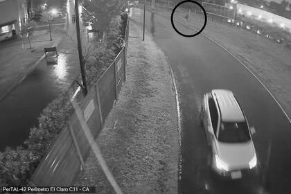 Las imágenes de las cámaras de seguridad, claves para atrapar al ladrón que robo en una casa de Nordelta