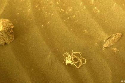 Las imágenes de los últimos hallazgos del Rover Perseverance en Marte