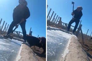 Las imágenes de un bebedero de agua para ganado completamente congelado