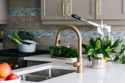 Las imágenes del extraño animal fueron compartidas en redes sociales (Foto: Unsplash)