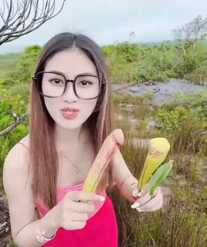 Las imágenes que causaron polémica en Camboya (Foto: Facebook @MinistryOfEnvironmentCambodia)