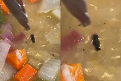 Las imágenes que compartió Paco Almeida para sostener que no había ningún insecto en la preparación