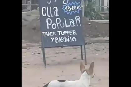 Las imágenes que se viralizaron en redes sociales apuntaron contra Mayra Mendoza y contra la entidad Niños con Sueños