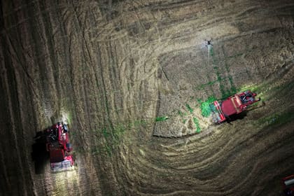 Las imágenes se registraron en el inicio de la cosecha de trigo de esa nación
