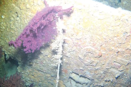Las imágenes tratadas con la última tecnología permitieron observar el nombre del submarino, Urge, grabado en la torre de mando