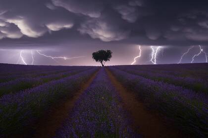 Las impactantes imágenes ganadoras del Sony World Photography Awards, Open 2021