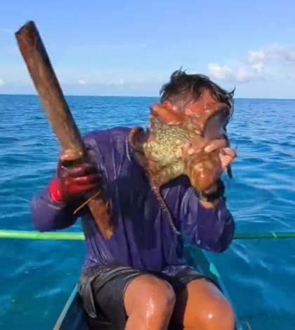 Las impactantes imágenes muestran al pescador intentando desesperadamente arrancarse el molusco de la cara