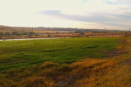 Las industrias generan millones de toneladas de residuos y su gestión tiene costos ambientales y económicos elevados por los impactos de almacenamiento, el transporte y la disposición