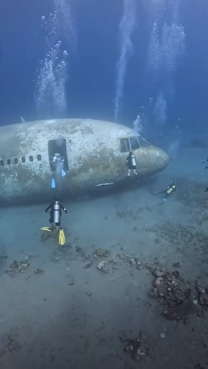 Las instalaciones del avión abandonado se convirtieron en el hogar de peces y criaturas marinas