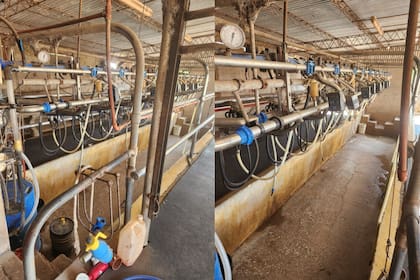 Las instalaciones del tambo del productor