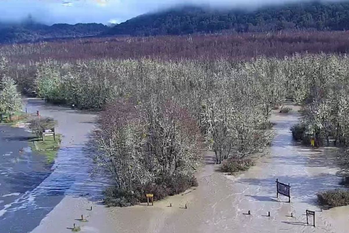 Las intensas precipitaciones provocaron la crecida del río Manso en la zona de Pampa Linda, anegando gran parte del área
