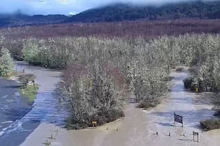 Familias aisladas, destrozos y animales en riesgo en la zona andina tras las abundantes lluvias