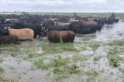 Las inundaciones dejaron campos aislados y caminos rurales intransitables en algunos sectores del norte santafesino