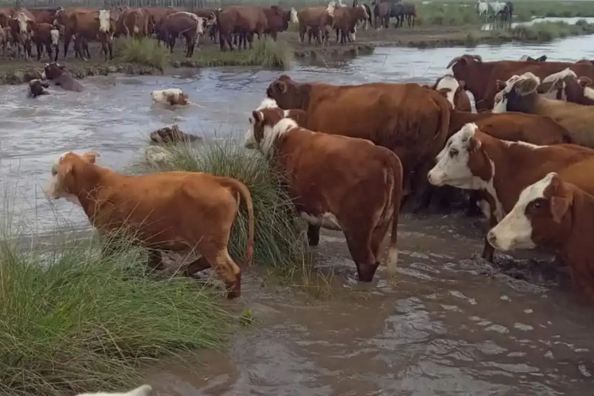 Las inundaciones en abril de este año en Vera