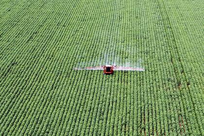 Las investigaciones en la agricultura buscan responder a las distintas demandas de la sociedad