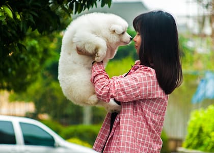Las investigaciones indican que los dueños de perros desarrollan un mayor sentido de propiedad psicológica debido a que ejercen más control sobre sus mascotas