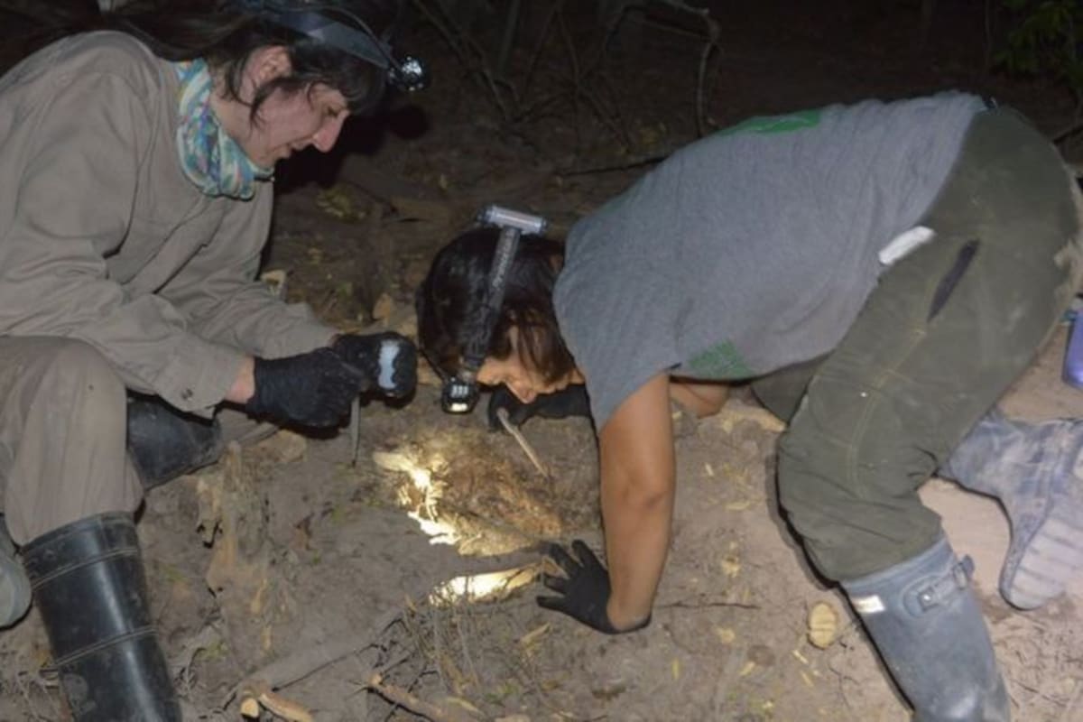 Las investigadoras tuvieron que trabajar largas horas durante la noche