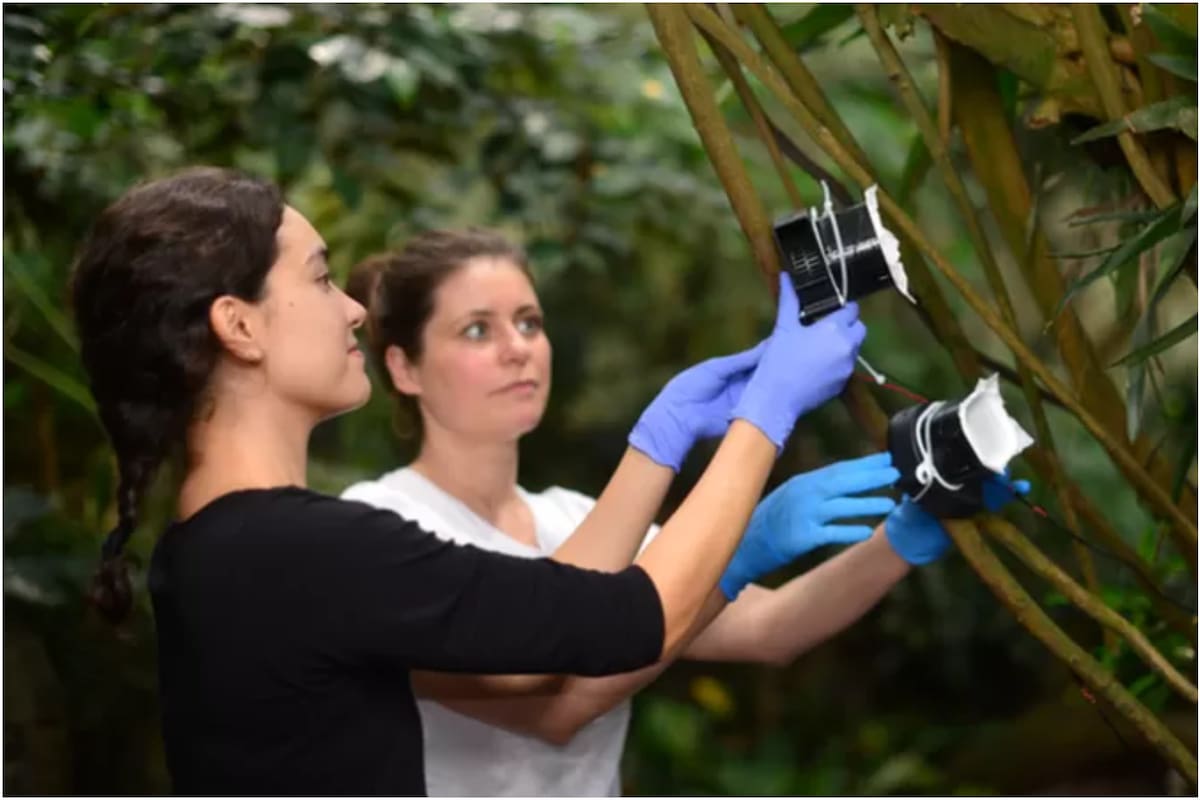 Las investigadoras utilizaron dispositivos de succión de aire para capturar el ADN