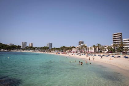 En la última semana debieron cerrar dos playas en España por la llegada de tiburones