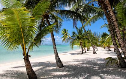 Las islas más grandes de Bahamas se llaman Andros y tienen una barrera de coral impresionante, de más de 300 kilómetros de largo, con variedades de corales.