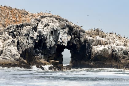 Las Islas Palomino se encuentran en un área de Reserva Natural con protección de la fauna marina.