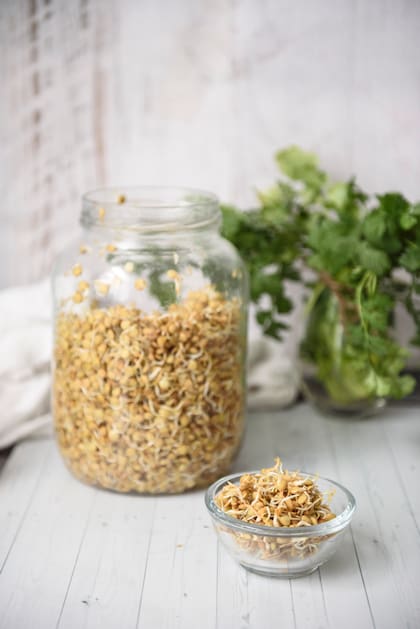 Las legumbres germinadas son un aporte crujiente para cualquier plato