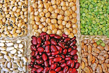 Las legumbres representan una oportunidad de crecimiento para el país