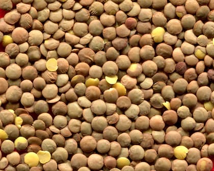 Las legumbres tienen de 5 a 7 miligramos de hierro cada 100 gramos, el mayor número de los alimentos de origen vegetal