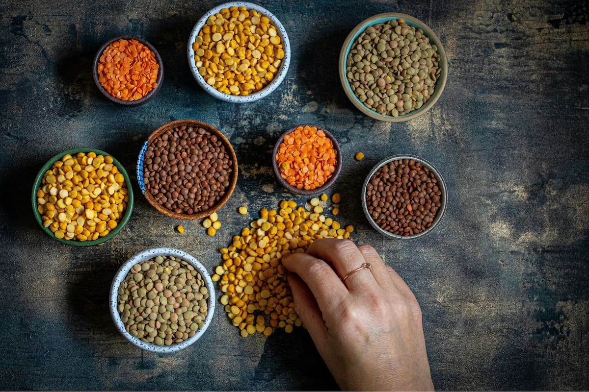 Las legumbres tienen muchos beneficios para la salud y son fundamentales para una buena alimentación