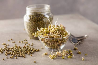 Las lentejas germinadas son una excelente opción para consumir en ensaladas