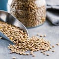 La semilla, seca y comestible, que cuida y fortalece la masa muscular