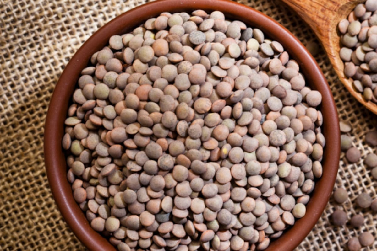 Las lentejas son un alimento completo, nutritivo y versátil