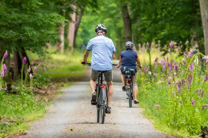 Las leyes exigen licencia para modelos Clase 3, prohíben modificaciones de velocidad en bicicletas eléctricas y buscan integrar conocimientos sobre estos vehículos en los exámenes
