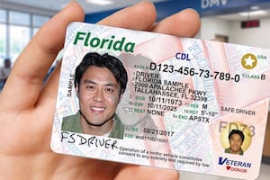 El límite de las licencias en Florida para no inmigrantes con documentos de Uscis
