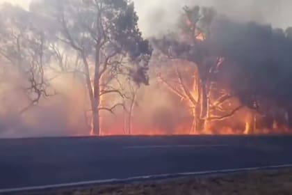 Las llamas arrasaron enormes pastizales secos y montes de eucaliptos. En total se quemaron 320 hectáreas