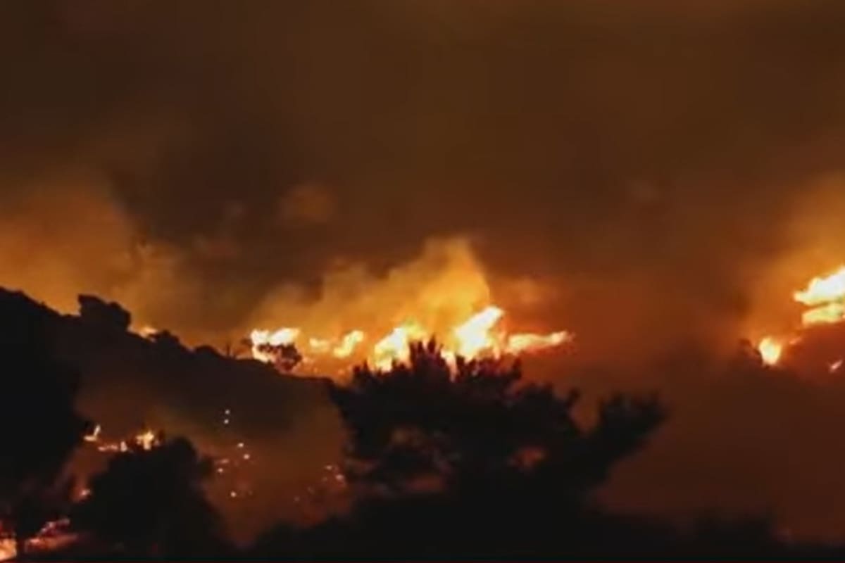 Las llamas consumen arboledas en la ciudad turca de Esmirna