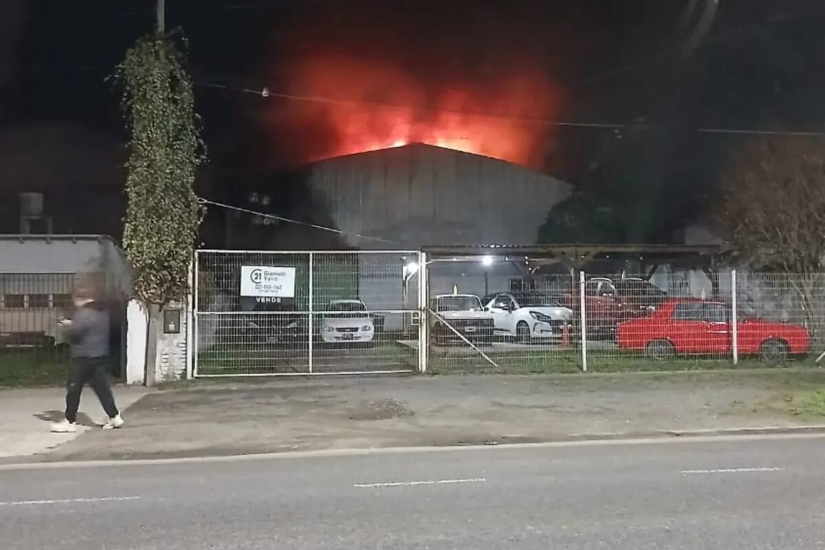 Las llamas consumieron todo el interior de la concesionaria