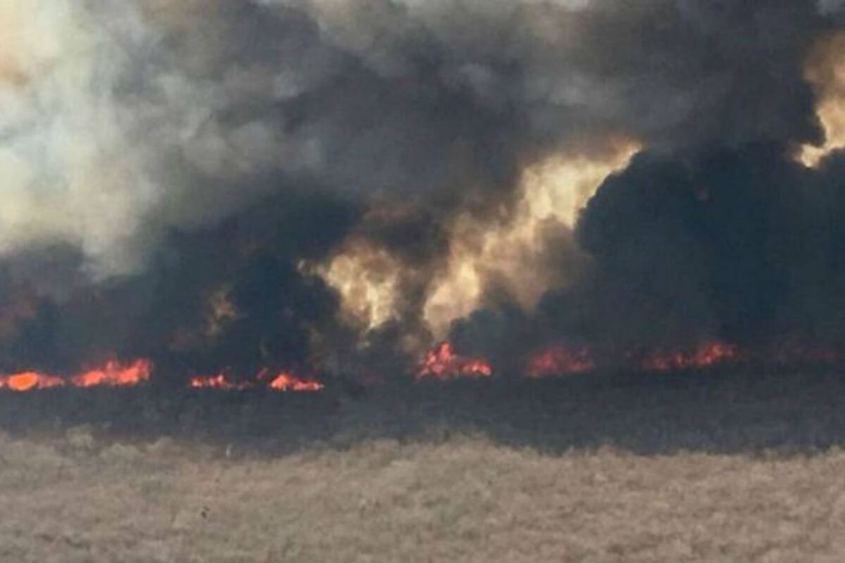 Las llamas en la selva no son muy altas, así que hay que combatirlas desde el suelo