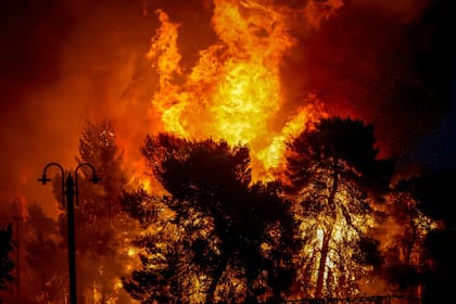 Las llamas fuera de control en la región de Kineta, ubicada a 40 km al oeste de Atenas