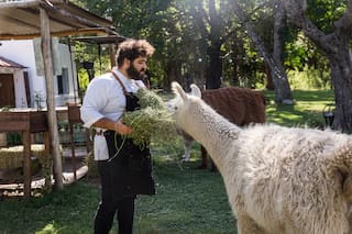 La Torgnole. Cocina francesa y llamas salteñas en plenas Sierras Chicas
