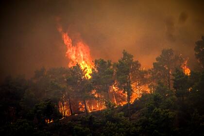 Las llamas se alzan de un incendio forestla en la islad de Rodas, Grecia, el sábado 22 de julio de 2023. (Argyris Mantikos/Eurokinissi via AP)